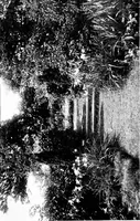 Picture 17 of 105 from The livable house, its garden (1917), leaf 52