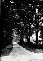 An illustration from The livable house, its garden (1917)