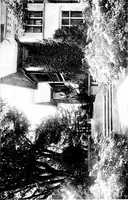 An illustration from The livable house, its garden (1917)