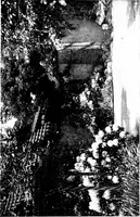 An illustration from The livable house, its garden (1917)