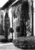 An illustration from The livable house, its garden (1917)