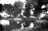 An illustration from The livable house, its garden (1917)