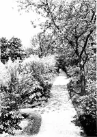 An illustration from The livable house, its garden (1917)