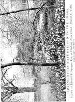Picture 40 of 105 from The livable house, its garden (1917), leaf 99
