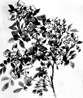 An illustration from Decorative elements in architecture; random observations on the eternal fitness of things from a decorative point of view (1917)