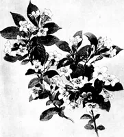 An illustration from Decorative elements in architecture; random observations on the eternal fitness of things from a decorative point of view (1917)