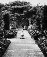 An illustration from Sea-coast gardens and gardening (1908)