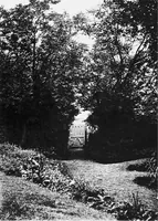 An illustration from Sea-coast gardens and gardening (1908)
