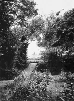 An illustration from Sea-coast gardens and gardening (1908)