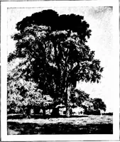 An illustration from Art in Great Britain and Ireland (1913)