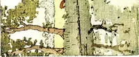 Picture 11 of 11 from The graphic arts of Great Britain; drawing, line-engraving, etching, mezzotint, aquatint, lithography, woodengraving, colour-printing (1917), leaf 178