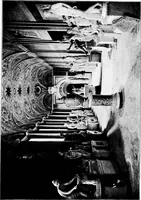 An illustration from The art of the Vatican; a brief history of the palace, and an account of the principal works of art within its walls (1903)