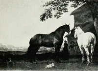 An illustration from A descriptive catalogue of the pictures in the Fitzwilliam museum, comp. largely from materials supplied by Sidney Colvin .. (1902)