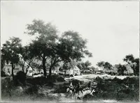 Picture 75 of 218 from A descriptive catalogue of the pictures in the Fitzwilliam museum, comp. largely from materials supplied by Sidney Colvin .. (1902), leaf 164