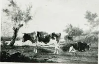 An illustration from A descriptive catalogue of the pictures in the Fitzwilliam museum, comp. largely from materials supplied by Sidney Colvin .. (1902)