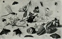 An illustration from A descriptive catalogue of the pictures in the Fitzwilliam museum, comp. largely from materials supplied by Sidney Colvin .. (1902)