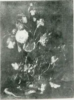 An illustration from A descriptive catalogue of the pictures in the Fitzwilliam museum, comp. largely from materials supplied by Sidney Colvin .. (1902)