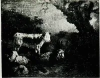 An illustration from A descriptive catalogue of the pictures in the Fitzwilliam museum, comp. largely from materials supplied by Sidney Colvin .. (1902)