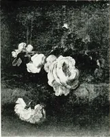 An illustration from A descriptive catalogue of the pictures in the Fitzwilliam museum, comp. largely from materials supplied by Sidney Colvin .. (1902)