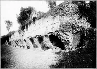 An illustration from Wanderings in the Roman campagna (1909)