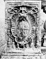 Picture 34 of 111 from Wanderings in the Roman campagna (1909), leaf 138