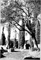 An illustration from Wanderings in the Roman campagna (1909)