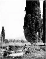 Picture 42 of 111 from Wanderings in the Roman campagna (1909), leaf 172