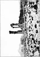 An illustration from Wanderings in the Roman campagna (1909)
