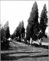 An illustration from Wanderings in the Roman campagna (1909)