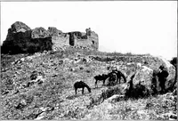 An illustration from Wanderings in the Roman campagna (1909)