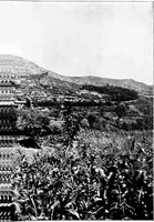 Picture 68 of 111 from Wanderings in the Roman campagna (1909), leaf 264