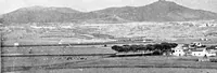 Picture 2 of 111 from Wanderings in the Roman campagna (1909), leaf 29