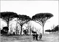 An illustration from Wanderings in the Roman campagna (1909)