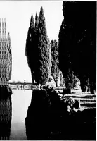 Picture 86 of 111 from Wanderings in the Roman campagna (1909), leaf 330