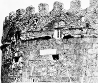 Picture 88 of 111 from Wanderings in the Roman campagna (1909), leaf 338