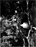 Picture 90 of 111 from Wanderings in the Roman campagna (1909), leaf 340