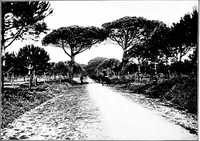 An illustration from Wanderings in the Roman campagna (1909)