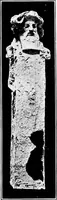 Picture 103 of 111 from Wanderings in the Roman campagna (1909), leaf 380