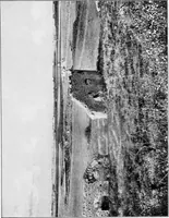 An illustration from Wanderings in the Roman campagna (1909)