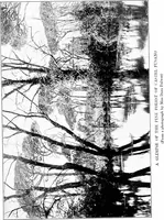 Picture 9 of 111 from Wanderings in the Roman campagna (1909), leaf 50