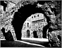 An illustration from Wanderings in the Roman campagna (1909)