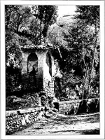 Picture 18 of 111 from Wanderings in the Roman campagna (1909), leaf 92