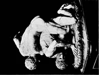 Picture 52 of 139 from What sculpture to see in Europe (1920), leaf 121