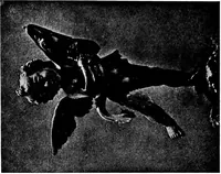 Picture 70 of 139 from What sculpture to see in Europe (1920), leaf 160
