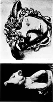 Picture 81 of 139 from What sculpture to see in Europe (1920), leaf 179