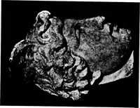 Picture 101 of 139 from What sculpture to see in Europe (1920), leaf 218