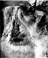 Picture 24 of 77 from Six Greek sculptors (1910), leaf 173