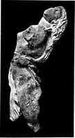 Picture 50 of 77 from Six Greek sculptors (1910), leaf 314