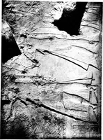 An illustration from The rock tombs of El Amarna .. (1903)