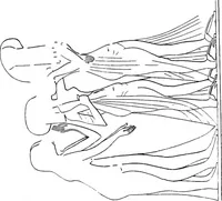 An illustration from The rock tombs of El Amarna .. (1903)